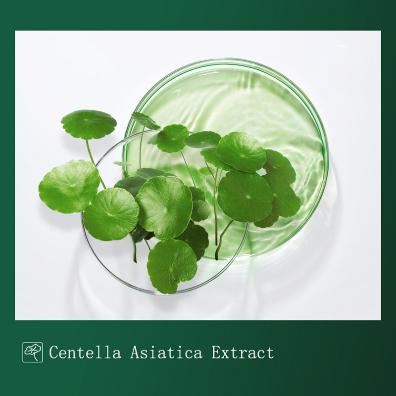 8 قطعة Centella قناع طمي مكافح - مراجعة Dust Mask Construction وسعره